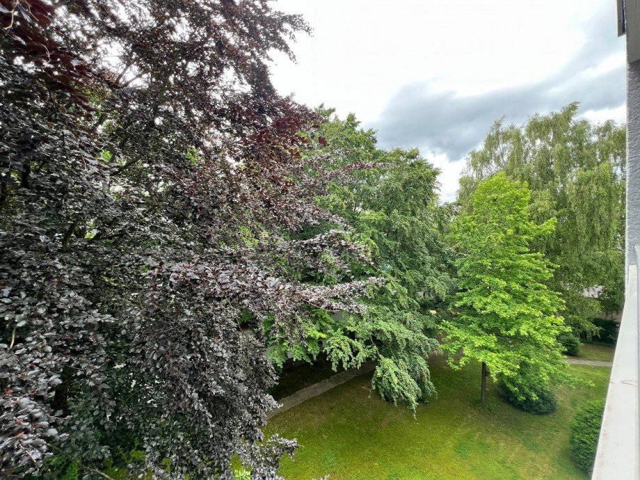 Ausblick Balkon Wohnung M�lheim an der Ruhr